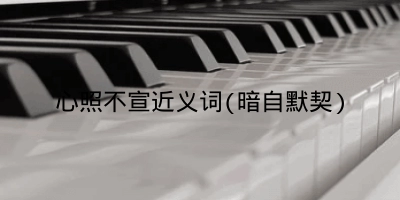 心照不宣近义词(暗自默契)