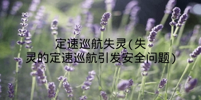 定速巡航失灵(失灵的定速巡航引发安全问题)