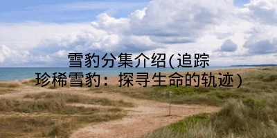 雪豹分集介绍(追踪珍稀雪豹：探寻生命的轨迹)