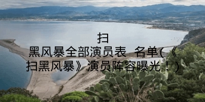 扫黑风暴全部演员表 名单(《扫黑风暴》演员阵容曝光！)
