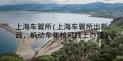 上海车管所(上海车管所出新政，机动车年检可线上办理)