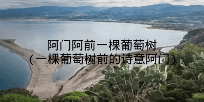 阿门阿前一棵葡萄树(一棵葡萄树前的诗意阿门)