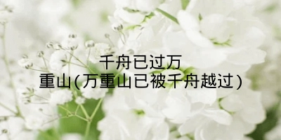 千舟已过万重山(万重山已被千舟越过)