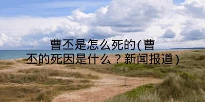 曹丕是怎么死的(曹丕的死因是什么？新闻报道)