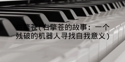 右擎苍(右擎苍的故事：一个残破的机器人寻找自我意义)