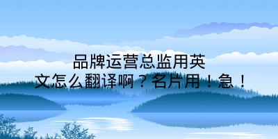 品牌运营总监用英文怎么翻译啊？名片用！急！