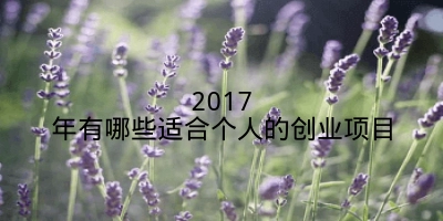 2017年有哪些适合个人的创业项目