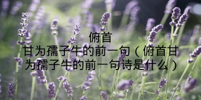 俯首甘为孺子牛的前一句（俯首甘为孺子牛的前一句诗是什么）