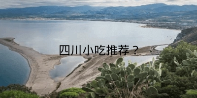 四川小吃推荐？