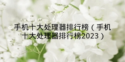 手机十大处理器排行榜（手机十大处理器排行榜2023）