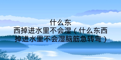 什么东西掉进水里不会湿（什么东西掉进水里不会湿脑筋急转弯）