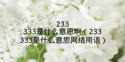 233333是什么意思啊（233333是什么意思网络用语）