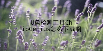 U盘检测工具ChipGenius怎么下载啊