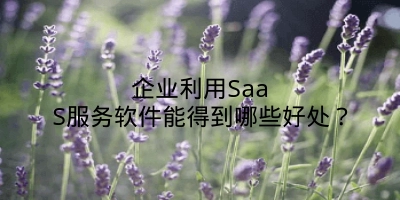 企业利用SaaS服务软件能得到哪些好处？