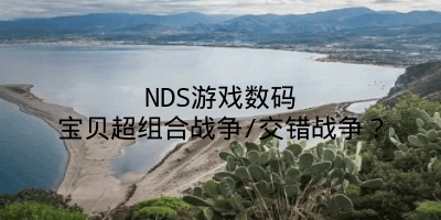 NDS游戏数码宝贝超组合战争/交错战争？