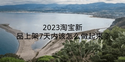 2023淘宝新品上架7天内该怎么做起来？