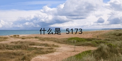 什么是 5173