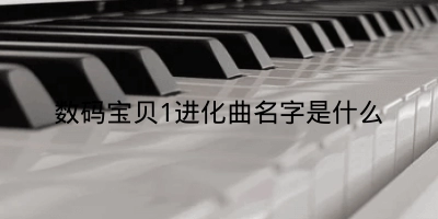 数码宝贝1进化曲名字是什么