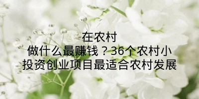 在农村做什么最赚钱？36个农村小投资创业项目最适合农村发展