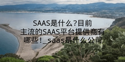 SAAS是什么?目前主流的SAAS平台提供商有哪些!_saas是什么公司