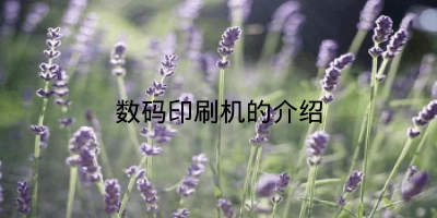 数码印刷机的介绍