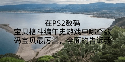 在PS2数码宝贝格斗编年史游戏中哪个数码宝贝最厉害，全面的告诉我