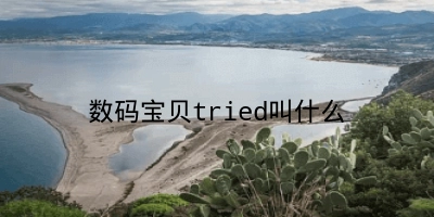 数码宝贝tried叫什么