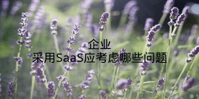 企业采用SaaS应考虑哪些问题