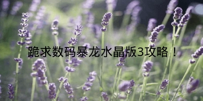 跪求数码暴龙水晶版3攻略！