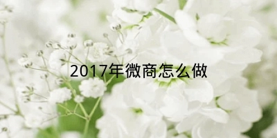 2017年微商怎么做