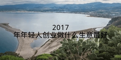 2017年年轻人创业做什么生意最好