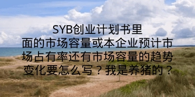 SYB创业计划书里面的市场容量或本企业预计市场占有率还有市场容量的趋势变化要怎么写？我是养猪的？