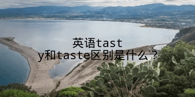 英语tasty和taste区别是什么？