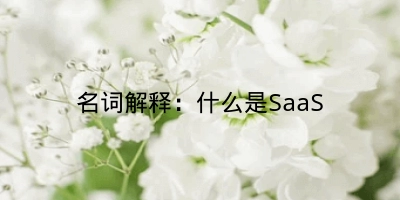 名词解释：什么是SaaS