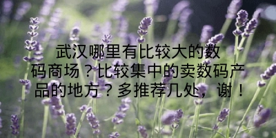 武汉哪里有比较大的数码商场？比较集中的卖数码产品的地方？多推荐几处，谢！