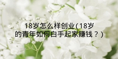 18岁怎么样创业(18岁的青年如何白手起家赚钱？)