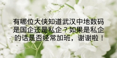 有哪位大侠知道武汉中地数码是国企还是私企？如果是私企的话是否经常加班，谢谢啦！