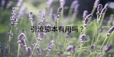 引流脚本有用吗？