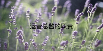 运营总监的职责