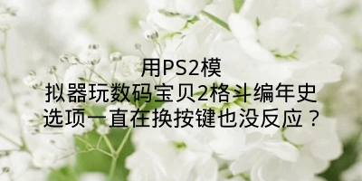 用PS2模拟器玩数码宝贝2格斗编年史选项一直在换按键也没反应？