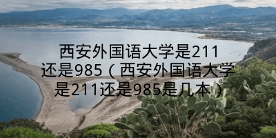 西安外国语大学是211还是985（西安外国语大学是211还是985是几本）