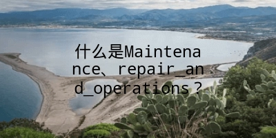 什么是Maintenance、repair_and_operations？