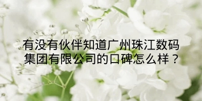 有没有伙伴知道广州珠江数码集团有限公司的口碑怎么样？