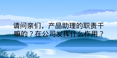 请问亲们，产品助理的职责干嘛的？在公司发挥什么作用？