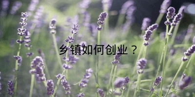 乡镇如何创业？