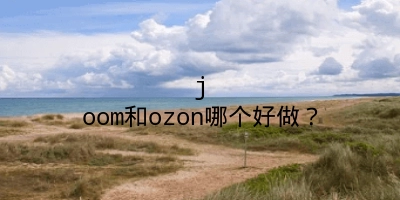 joom和ozon哪个好做？