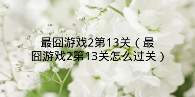 最囧游戏2第13关（最囧游戏2第13关怎么过关）