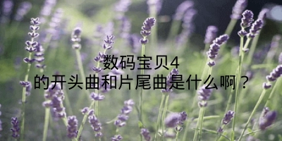 数码宝贝4的开头曲和片尾曲是什么啊？