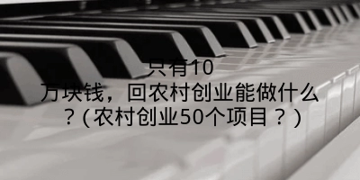 只有10万块钱，回农村创业能做什么？(农村创业50个项目？)