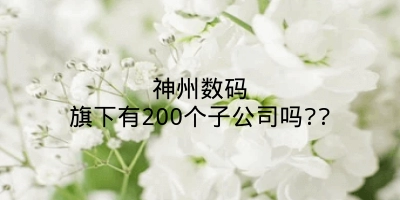 神州数码旗下有200个子公司吗??